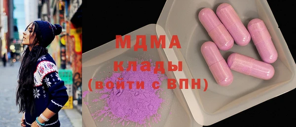 шишки Надым