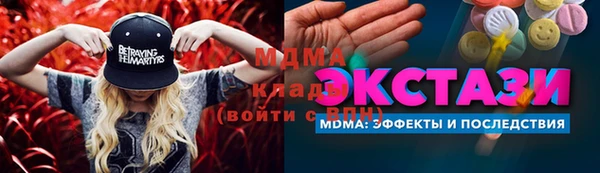 шишки Надым