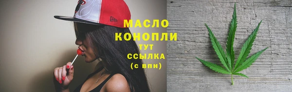 шишки Надым