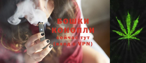 шишки Надым