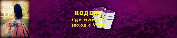 шишки Надым