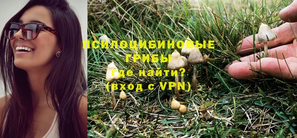 шишки Надым