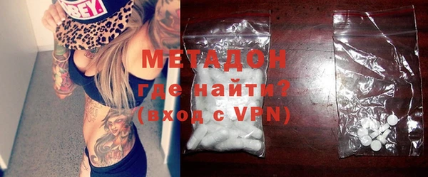 шишки Надым