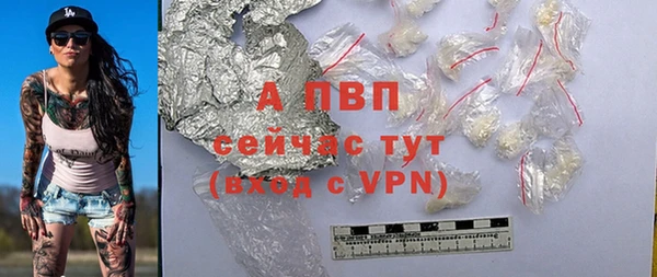 шишки Надым