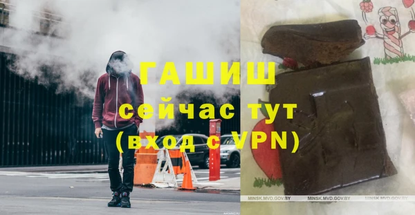 шишки Надым