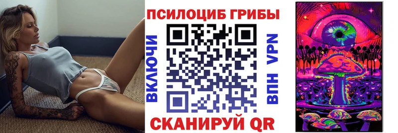 Псилоцибиновые грибы Cubensis  KRAKEN как войти  Карачев  даркнет сайт 